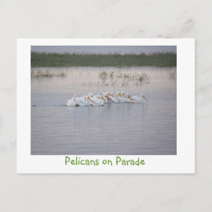 Postal Pelícanos en desfile