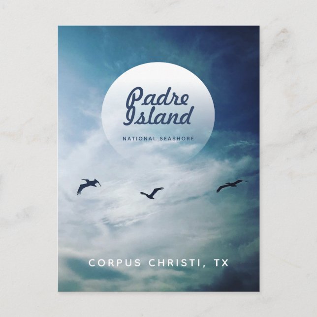 Postal Pelícanos marrones de la isla Padre (Anverso)