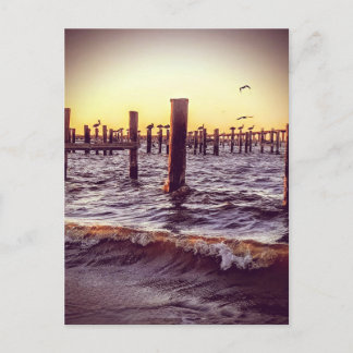 Postal Pelícanos sobre la bahía al atardecer