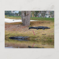 Peligro del lagarto en el campo de golf