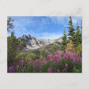 Postal Pelly Mountain Vista