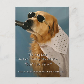 Postal Pelosi, congresista de Salven al Perro Fuera de Pi