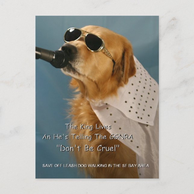 Postal Pelosi, congresista de Salven al Perro Fuera de Pi (Anverso)