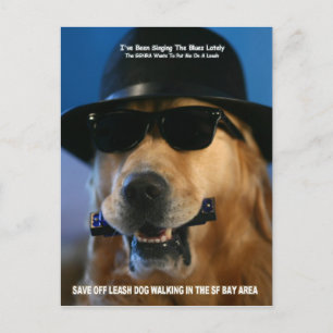 Postal Pelosi, congresista de Salven al Perro Fuera de Pi