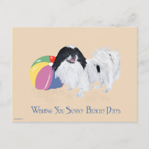 Postal Pelota de Playa Japanese Chin