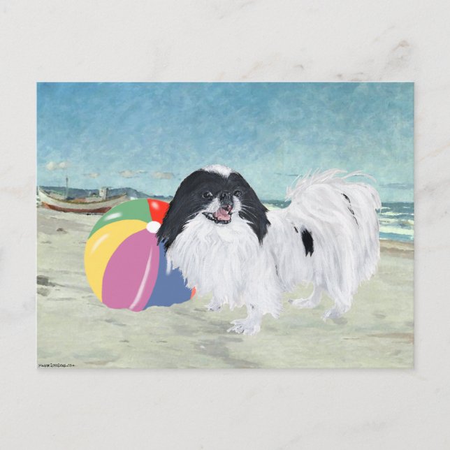 Postal Pelota de playa Japanese Chin (Anverso)