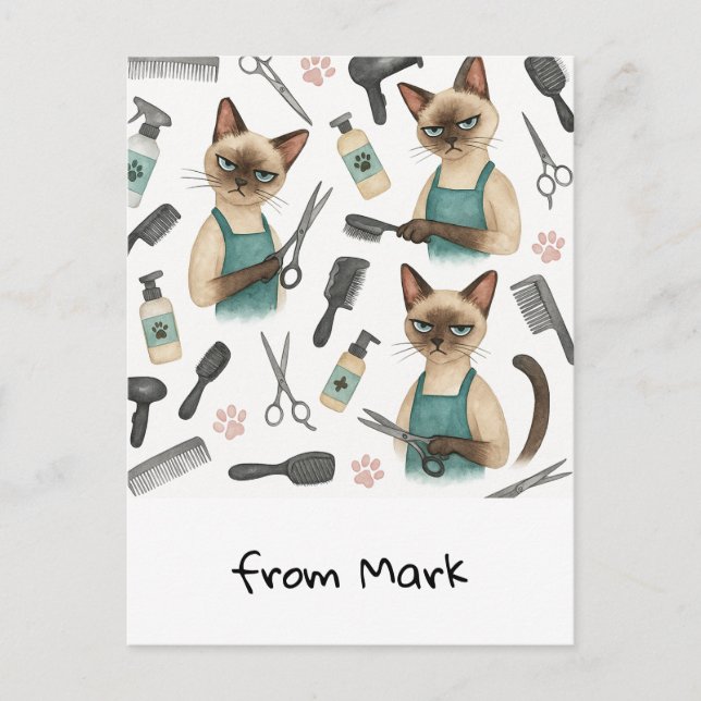 Postal Peluquero de Gatos  (Anverso)