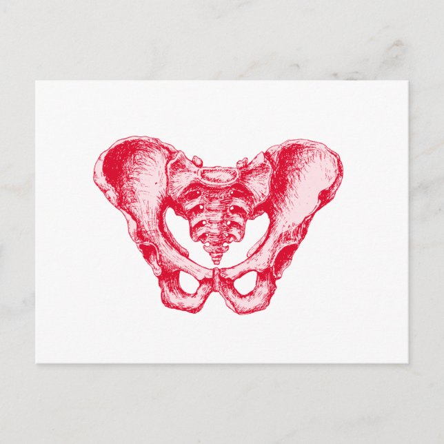 Postal Pelvis Red masculino (Anverso)