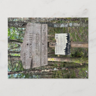 Postal Pemigewasset Wilderness Postcard