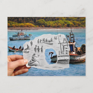 Postal Pencil Vs Camera - Mermaid