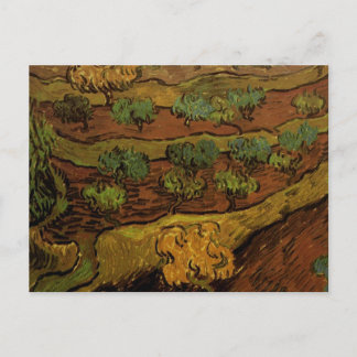 Postal Pendiente de olivos de Hill Van Gogh Bella Artes