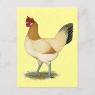 Postal Penedesenca:  Gallina de trigo