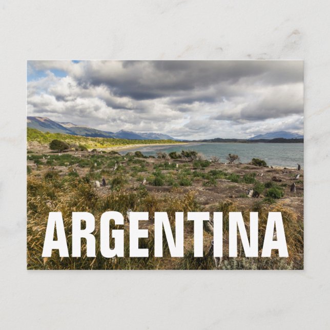 Postal Penguinera (Anverso)