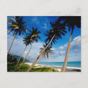Postal Península de La Samana, República Dominicana,