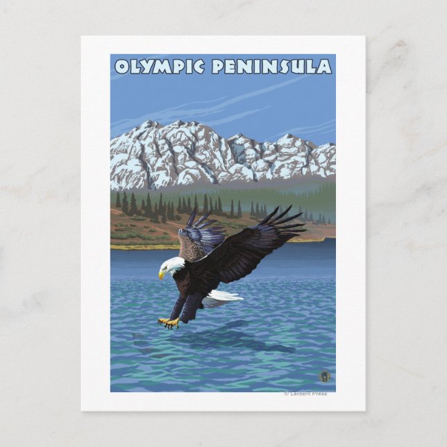 Postal Península olímpica, águila de pesca en Washington (Anverso)