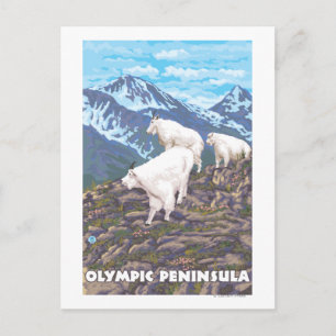 Postal Península olímpica, cabras de las montañas de Wash