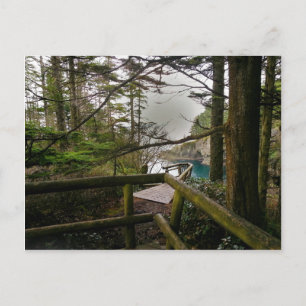 Postal Península olímpica del Sendero Flattery del Cabo