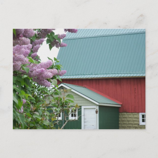 Postal Península Superior Michigan Red Barn Lilac Postcar (Anverso)