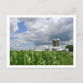 Postal Pennsylvania Cornfield Postcard