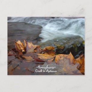 Postal Pennsylvania creek Postcard
