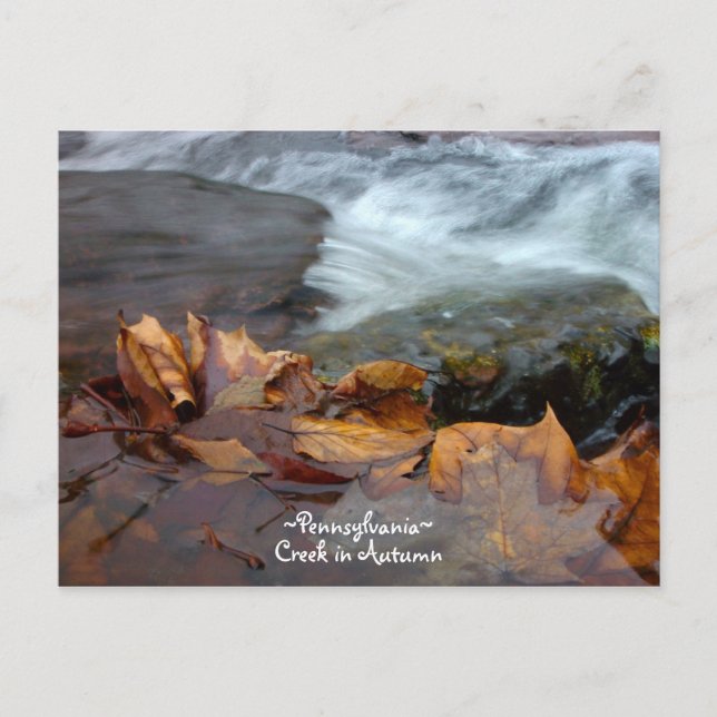 Postal Pennsylvania creek Postcard (Anverso)