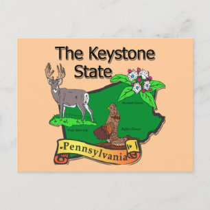 Postal Pennsylvania La Flor De Cerveza Keystone State