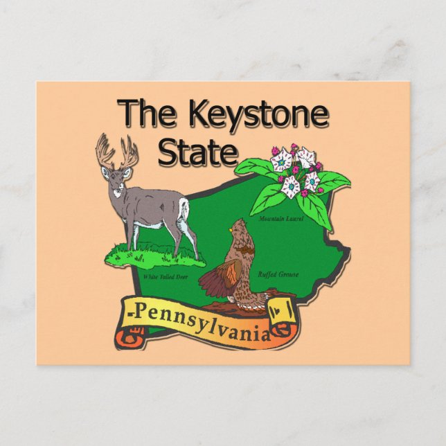 Postal Pennsylvania La Flor De Cerveza Keystone State (Anverso)