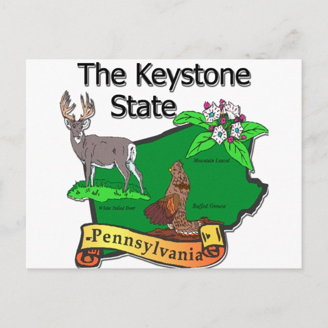 Postal Pennsylvania La Flor De Cerveza Keystone State (Anverso)