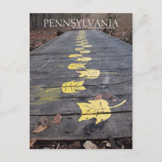 Postal Pennsylvania Pasee Por El Park Postcard