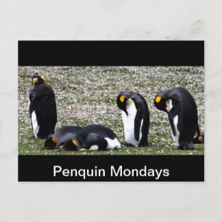 Postal Penquin Mondays