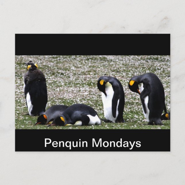 Postal Penquin Mondays (Anverso)