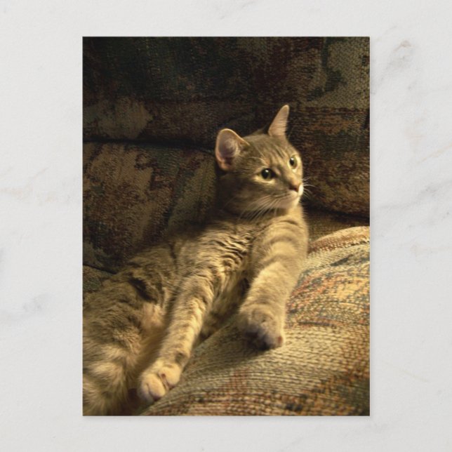 Postal Pensador (Anverso)