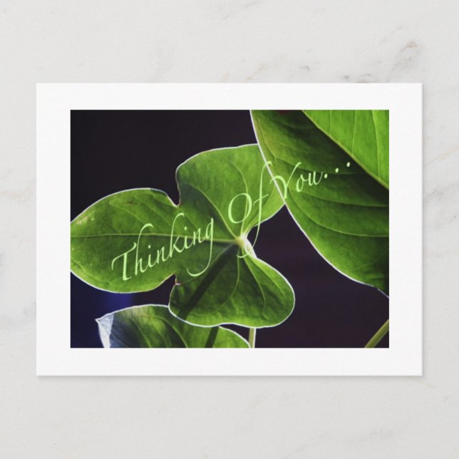 Postal Pensamiento en usted… (Anverso)