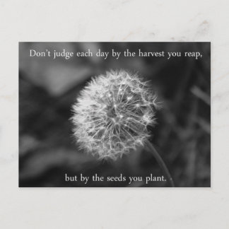 Postal Pensamiento positivo diciendo con Dandelion
