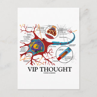 Postal Pensamiento VIP (Humor Neuronal / Sinapsis)