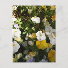 Postal Pensamientos Blancos y Amarillos