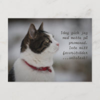 Pensamientos del gato de Snow Slush CC0381