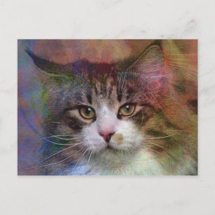 Postal Pensamientos profundos