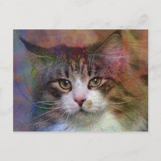 Postal Pensamientos profundos