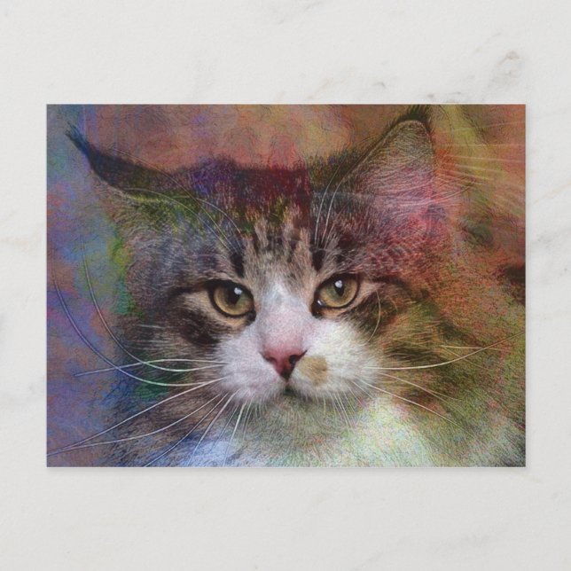 Postal Pensamientos profundos (Anverso)