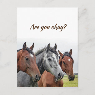 Postal Pensamos en Ti Caballos para saber que estás bien