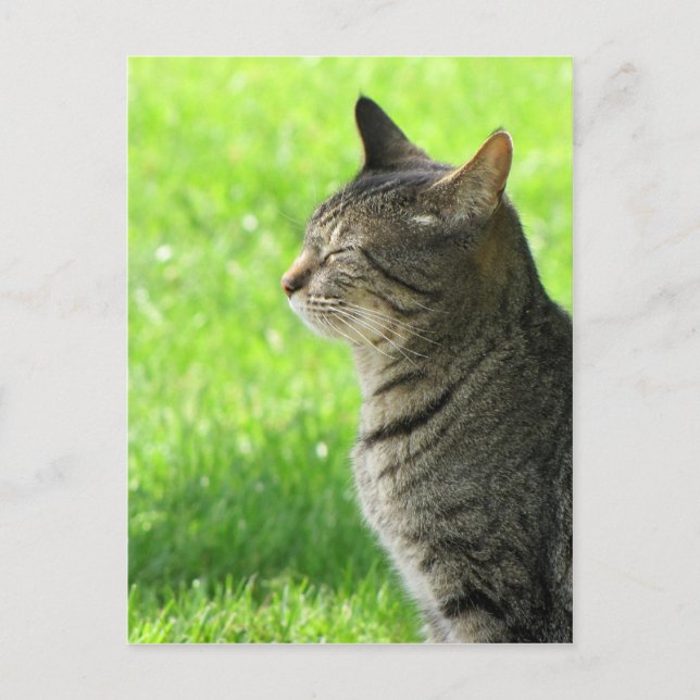 Postal Pensando... de usted... (Anverso)