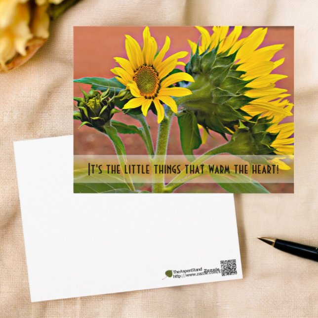 Postal Pensando en la plantilla fotográfica de girasoles (front and back of sunflower photograph photocard)