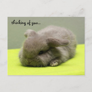 Postal pensando en ti...