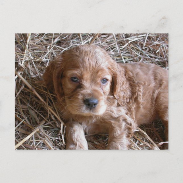 Postal Pensando en ti... (Anverso)