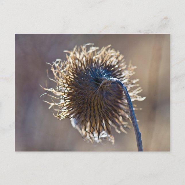 Postal Pensando en ti (Anverso)