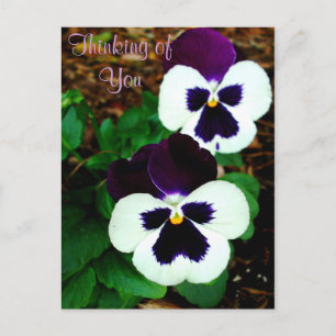 Postal Pensando en ti_