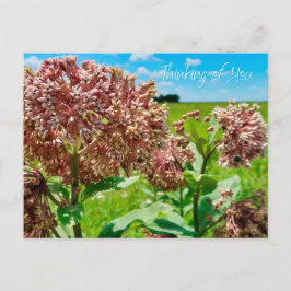 Postal Pensando en ti