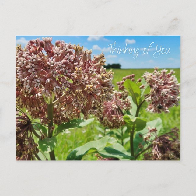 Postal Pensando en ti (Anverso)