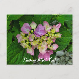 Postal Pensando en ti Bonito Flores Púrpura Rosadas